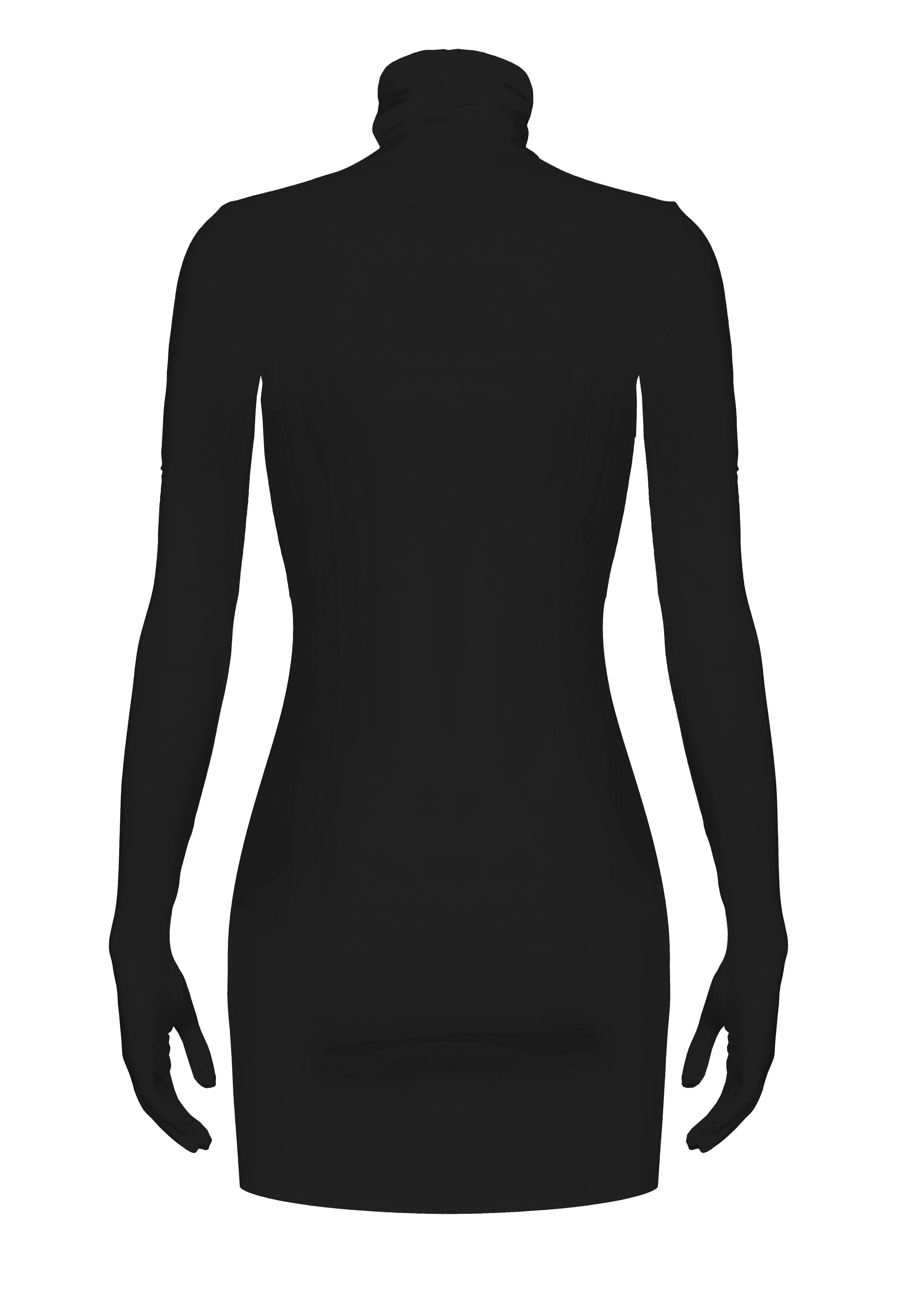 Black Long Sleeve Turtleneck Bodycon Basic Mini Dress